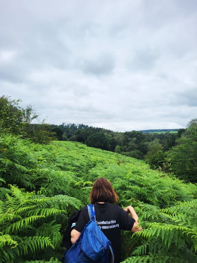 A person walking through thick bracken