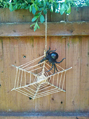Spider web made out of string and twigs with plastic spider