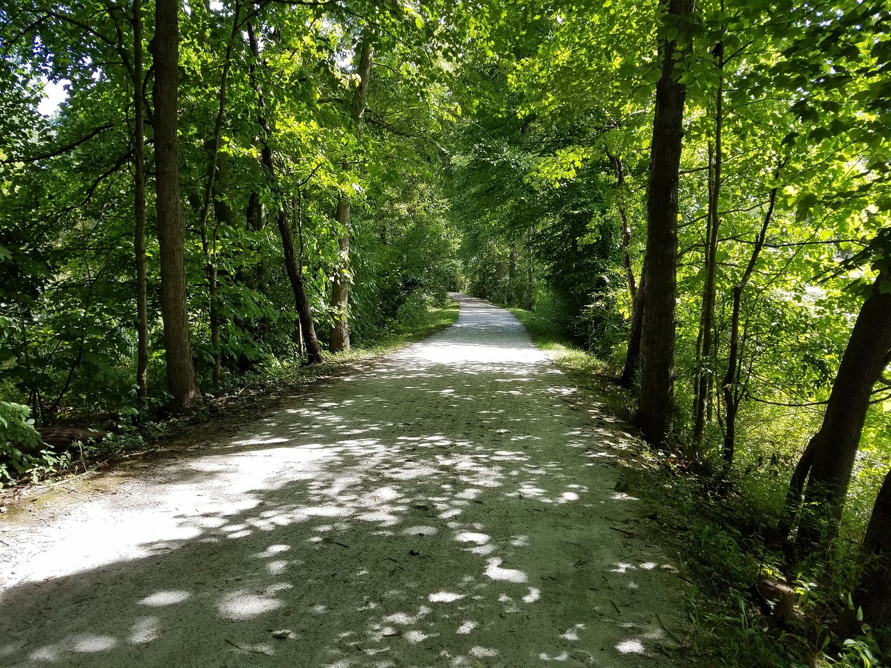 A  cycling trail in Cuyahoga Valley National Park